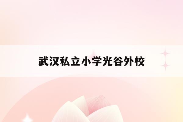 武汉私立小学光谷外校(武汉光谷私立学校招聘2021)