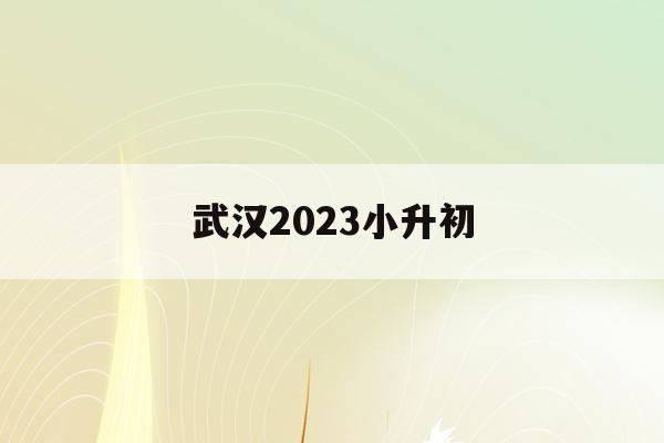 武漢2023小升初(武漢2023小升初政策)