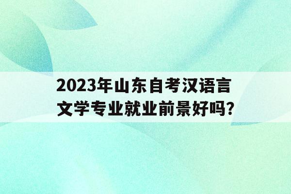 關于2023年山東自考漢語言文學專業就業前景好嗎？的信息