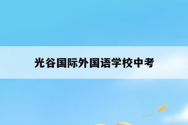 光谷国际外国语学校中考(武汉光谷国际外国语学校高中录取分数线)