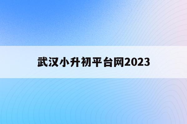 武漢小升初平臺網2023(武漢小升初2021年具體時間)