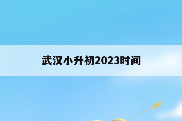 武漢小升初2023時間(武漢小升初2021考試時間)