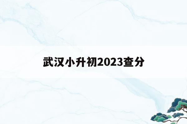 武漢小升初2023查分(2021年武漢小升初成績查詢)