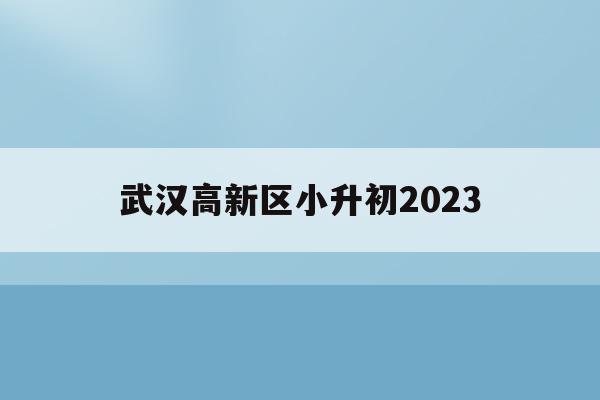 武漢高新區小升初2023(武漢2021小升初改革最新方案)