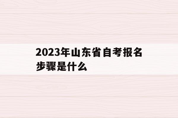 2023年山東省自考報名步驟是什么(2023年山東省自考報名步驟是什么樣的)