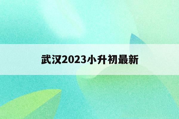 武漢2023小升初最新(武漢2023小升初最新政策公布)