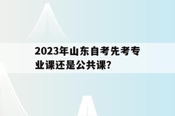關于2023年山東自考先考專業課還是公共課？的信息