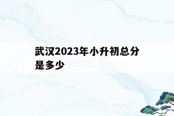 武漢2023年小升初總分是多少(武漢2023年小升初總分是多少分)