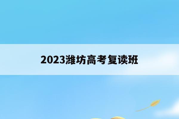 2023潍坊高考复读班(2023潍坊高考复读班有哪些)