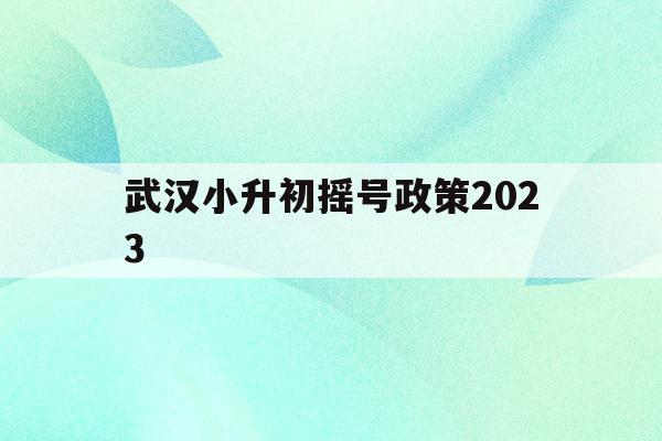 武漢小升初搖號政策2023(武漢小升初搖號政策2023規定)