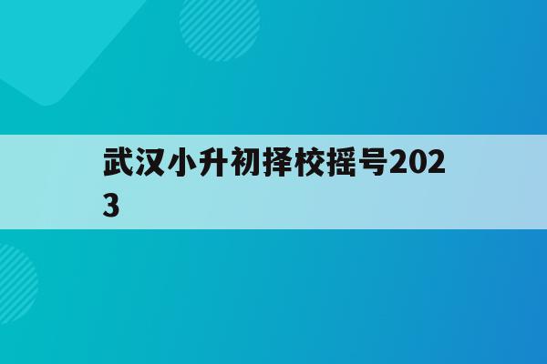 武漢小升初擇校搖號2023(武漢小升初搖號時間2020具體時間)