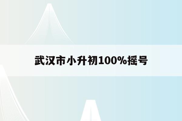 武漢市小升初100%搖號(武漢小升初搖號政策2021)