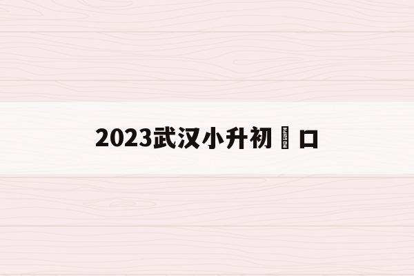 2023武漢小升初硚口(2021武漢小升初擇校成績)