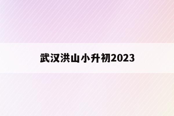 武漢洪山小升初2023(2021武漢洪山區小升初對口)