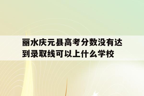 丽水庆元县高考分数没有达到录取线可以上什么学校的简单介绍