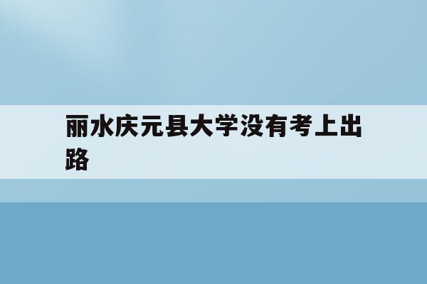 关于丽水庆元县大学没有考上出路的信息
