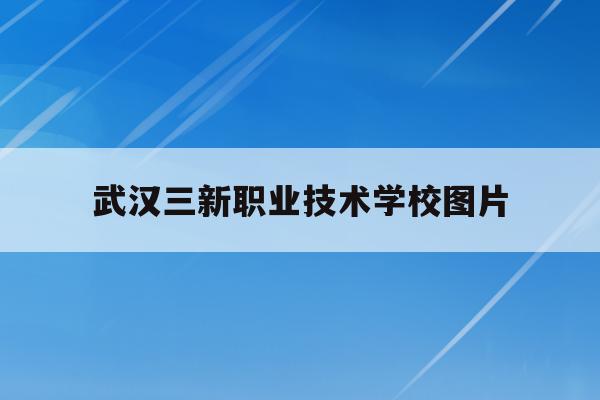 武汉三新职业技术学校图片(武汉三新职业技术学校百度百科)