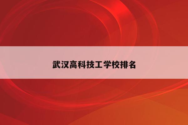 武汉高科技工学校排名（武汉有哪些高科技大项目）