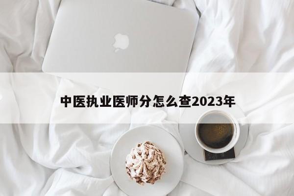 中医执业医师分怎么查2023年（中医执业医师考试成绩查询）