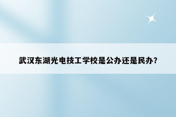 武汉东湖光电技工学校是公办还是民办？