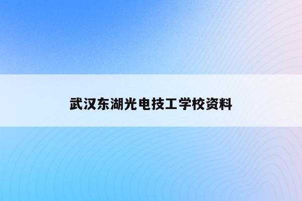 武汉东湖光电技工学校资料