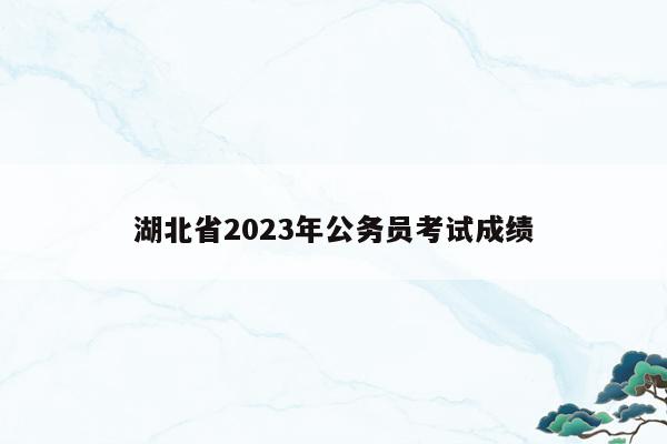 湖北省2023年公务员考试成绩