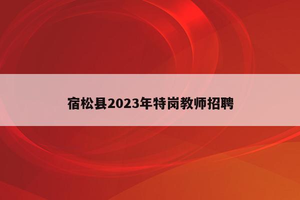 宿松县2023年特岗教师招聘