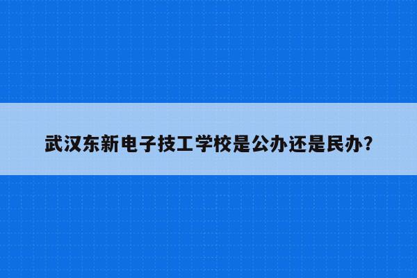 武汉东新电子技工学校是公办还是民办？