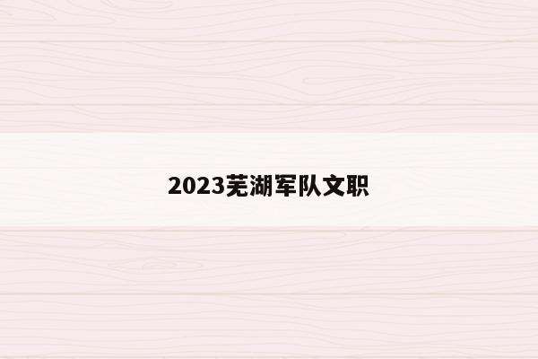 2023芜湖军队文职