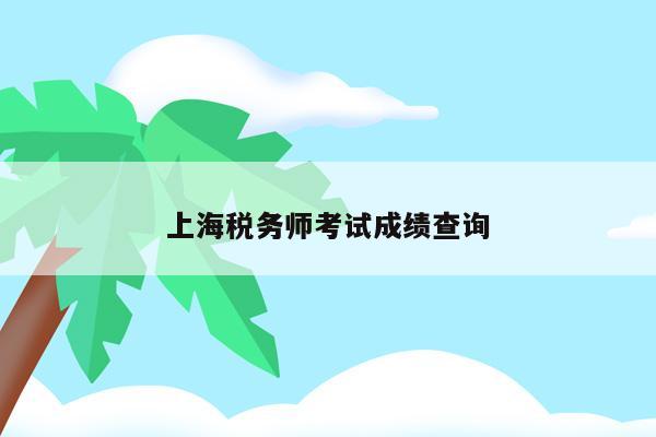 上海税务师考试成绩查询