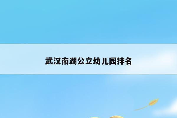 武汉南湖公立幼儿园排名