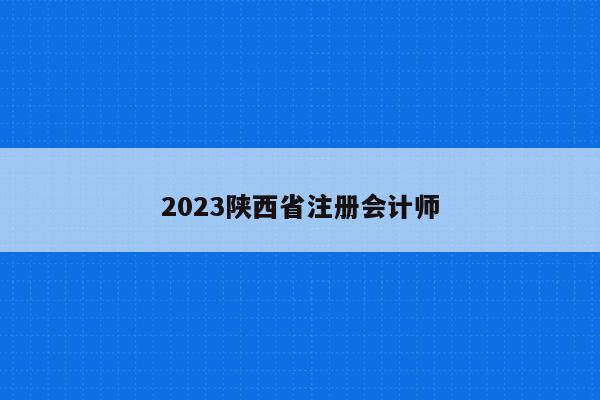 2023陕西省注册会计师