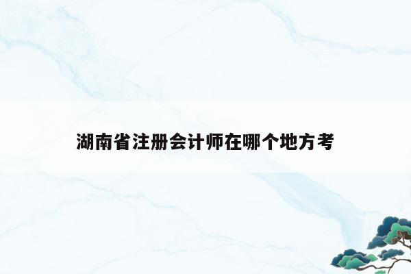 湖南省注册会计师在哪个地方考