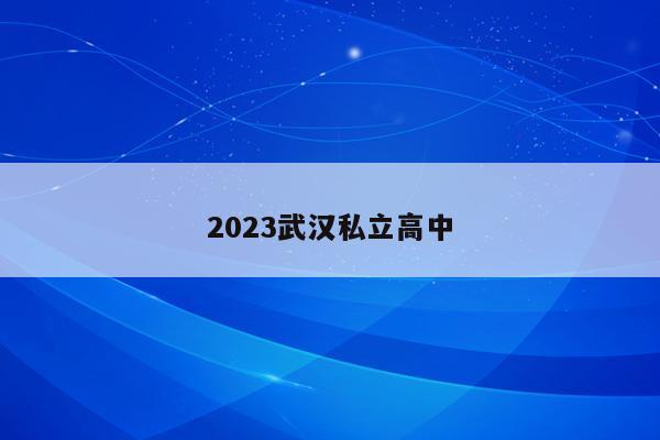 2023武汉私立高中