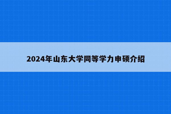 2024年山东大学同等学力申硕介绍