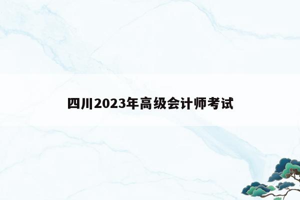 四川2023年高级会计师考试