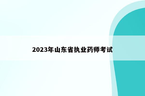 2023年山东省执业药师考试