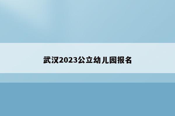 武汉2023公立幼儿园报名