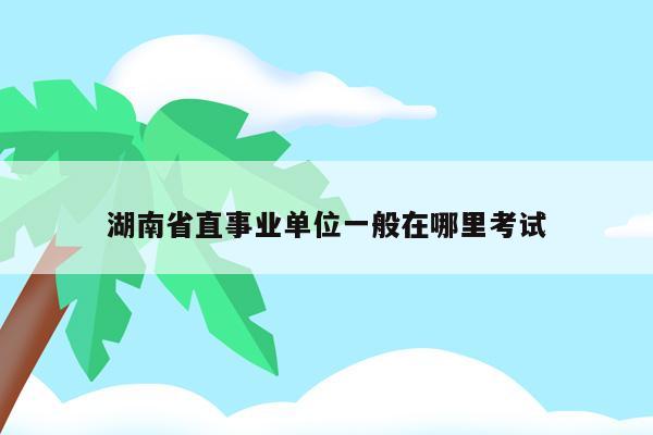 湖南省直事业单位一般在哪里考试