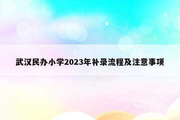武汉民办小学2023年补录流程及注意事项