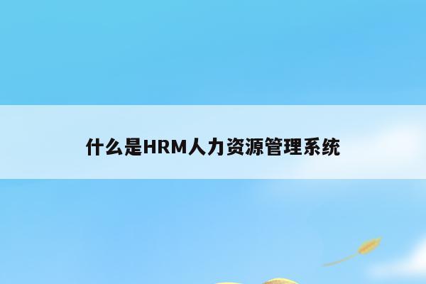 什么是HRM人力资源管理系统
