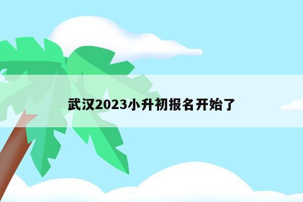武汉2023小升初报名开始了(报名时间、方式、注意事项等)
