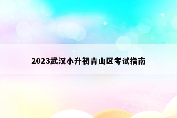 2023武汉小升初青山区考试指南